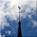 The weathercock on Albion Church