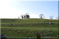 Hillside, Upper Airedale