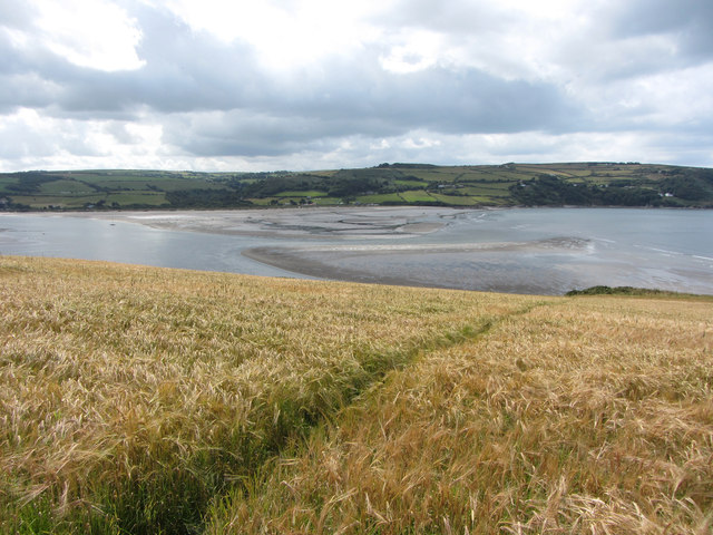 Fields above the Teifi Estuary near Gwbert