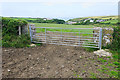 Gateway above Porthgain