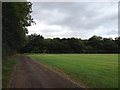 View towards Warden Great Wood