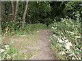 Footpath - Barrowby Lane