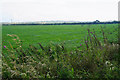 SM7628 : Field by Penberry Farm by Bill Boaden