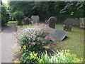 SK2375 : St Martin, Stoney Middleton: churchyard (A) by Basher Eyre