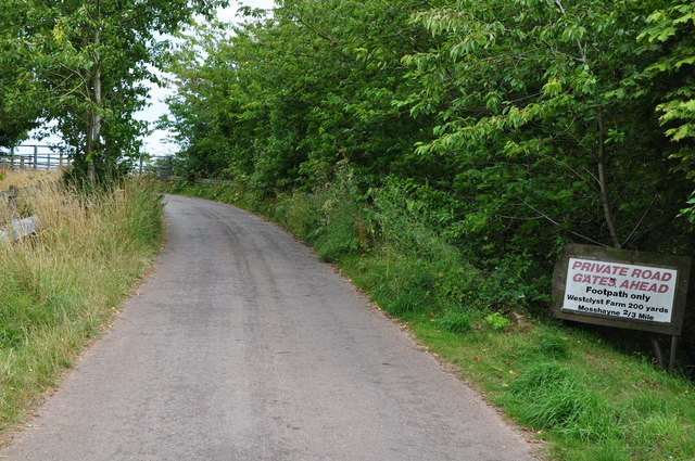 East Devon : Mosshayne Lane