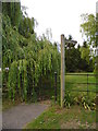 TF1406 : Footpath and gate with overhanging willow tree, Etton by Paul Bryan