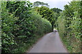 East Devon : Bluehayes Lane