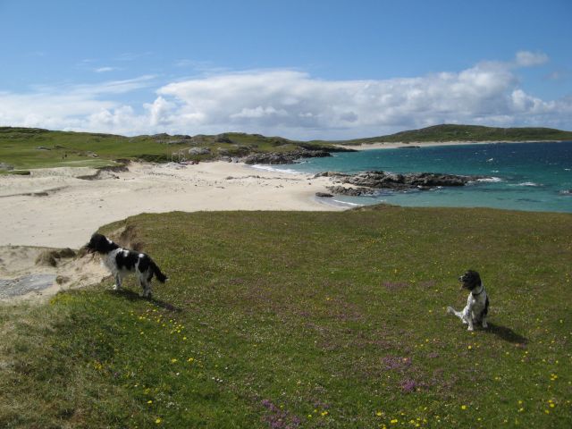 Bay with machair