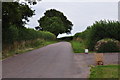 East Devon : Country Lane