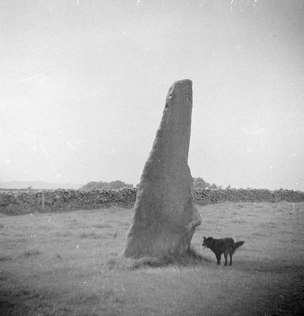 Long Meg (and her dog)