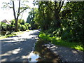 Looking south on Monkmead Lane from bridleway junction