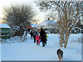 A Cold Winters Day along Footpath 48, Tring