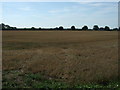 Stubble field near Manor Farm