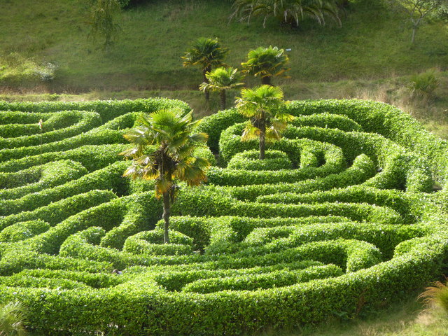 Looking down on the maze at Glendurgan Gardens