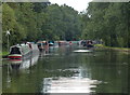 Grand Union Canal in Uxbridge