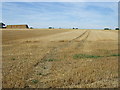 Footpath over field