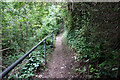 Coastal path off Seven Sisters Road, St Lawrence