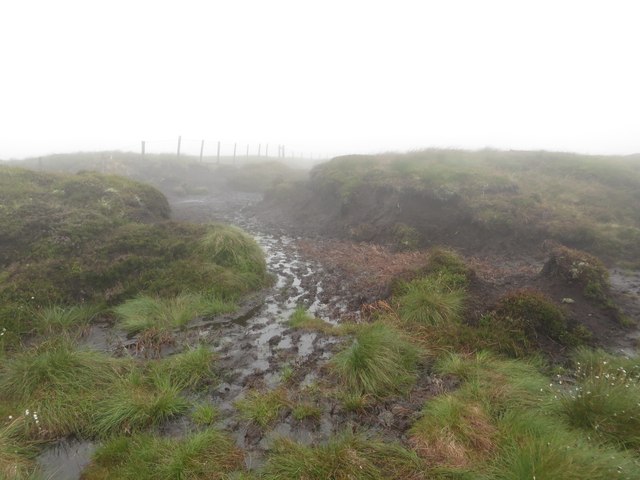 Peat Hags near Sugar Loaf