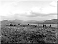 Blakely Raise [Kinniside] Stone Circle - 1959