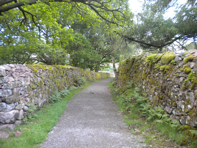 Footpath along Gill Force branch trackbed (1)