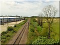 TF6218 : Railway Track at Campbells Meadow by David Dixon