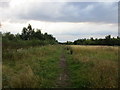 SK6788 : Bridleway to Broomfield Lane by Jonathan Thacker