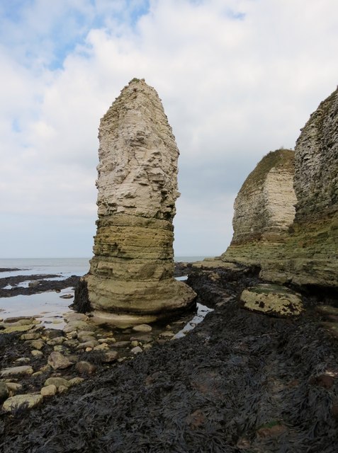 Stack  on  the  south  side  of  Selwicks  Bay