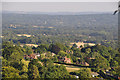 Tandridge : Countryside Scenery