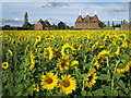 Oast House at Little Mill Farm, Underlyn Lane, Marden