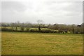 Grazing land north of Coulston