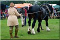 Shire Horse and WW1 Land Girl at Tractorfest 2015