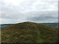 SO2994 : The rounded top of Roundton Hill by David Brown