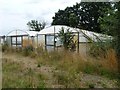 TM0880 : Disused polytunnels, Freezen Hill by Christine Johnstone