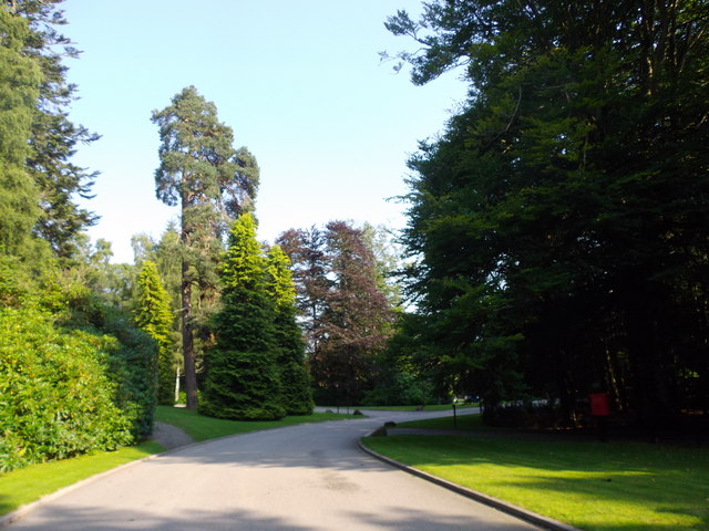 Driveway from Inchmarlo House