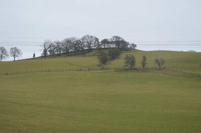 Wooded Hillside N Chadwick Geograph Britain And Ireland