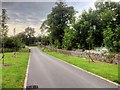 Lane alongside Clitheroe Cemetery