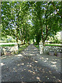 Driveway to Kirkmichael Old Manse