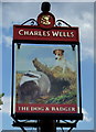 TL0737 : Sign for the Dog and Badger public house by JThomas