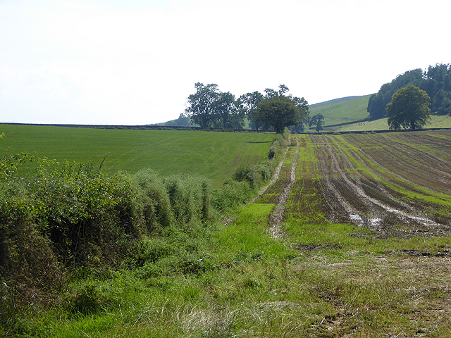 Fields near Trailflat