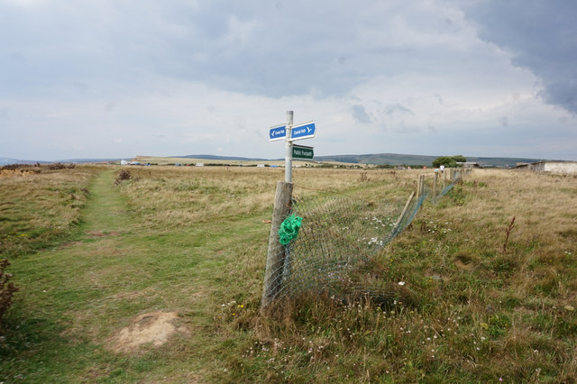 Coastal path near Shepherd's Chine © Ian S cc-by-sa/2.0 :: Geograph ...