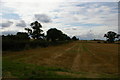 SE6141 : Stubble field south of Moreby Far Wood by Christopher Hilton