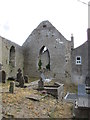 S1389 : Ruins of the Franciscan Friary, Roscrea by Jonathan Thacker