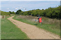 Bedfont Lakes Country Park