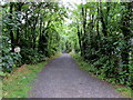 Riverside path, Llangennech