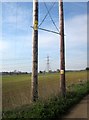 Pylon and power poles near Winterwell Barn