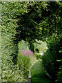 Track to Pengwndwn farm near Swddffynnon, Ceredigion