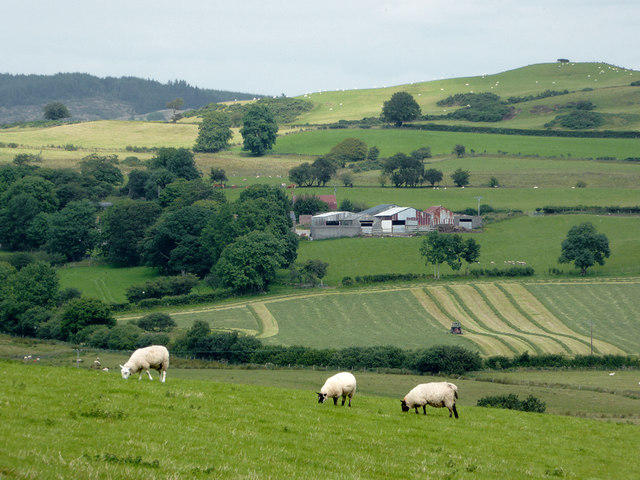 Farmland west of Swyddffynnon, Ceredigion