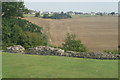 View of the rear of houses on Castle Road from Hadleigh Castle