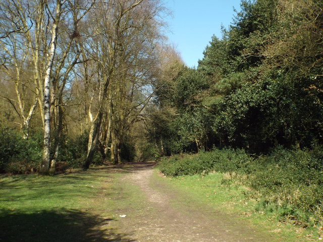 North on a track between Hill Hurst and... © Robin Stott cc-by-sa/2.0 ...