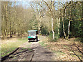 SP1096 : Park rangers' wagon heading north, Sutton Park by Robin Stott
